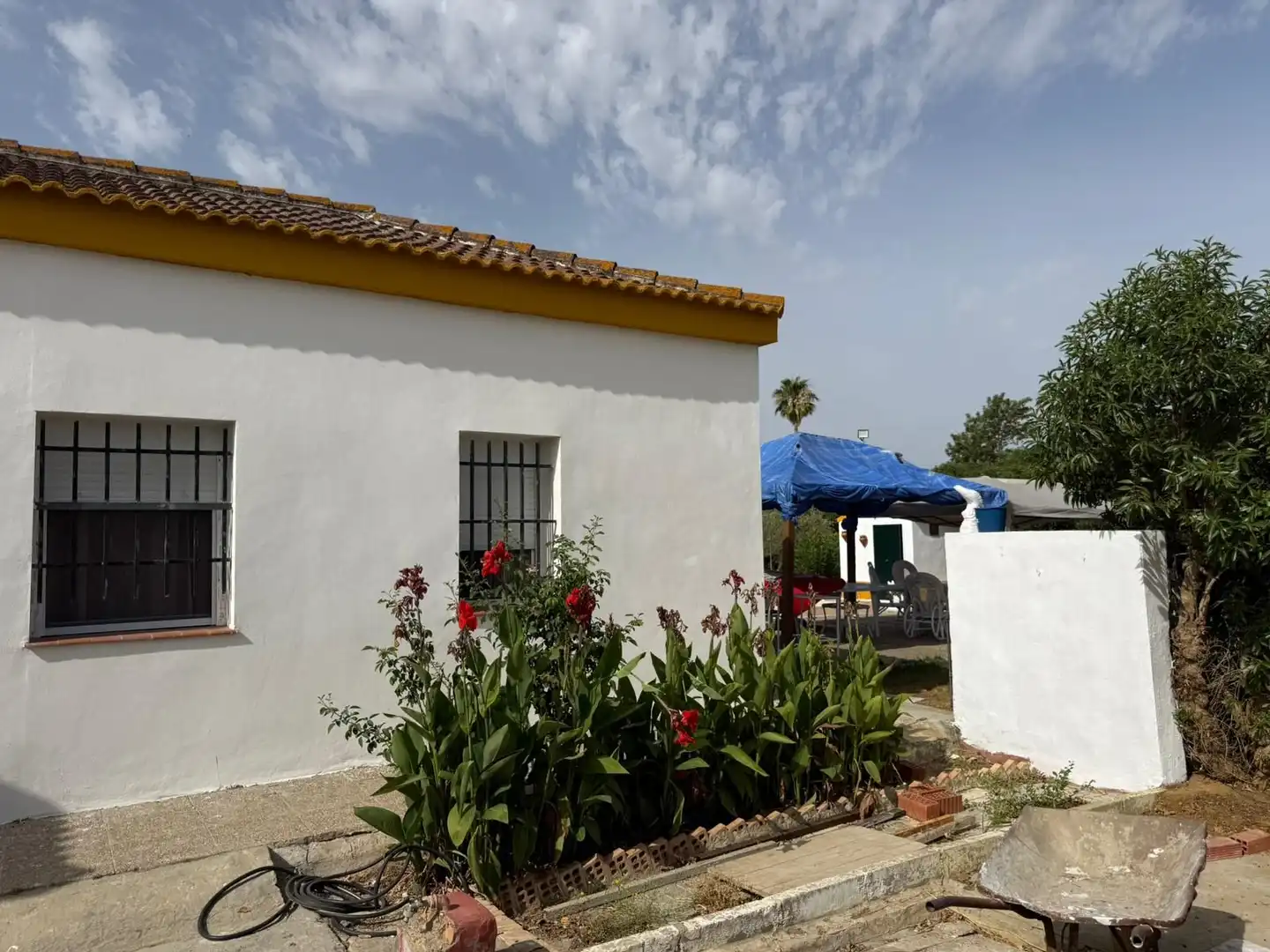 Jardín de Casa o chalet en venta en Carmona con Jardín privado, Terraza y Piscina