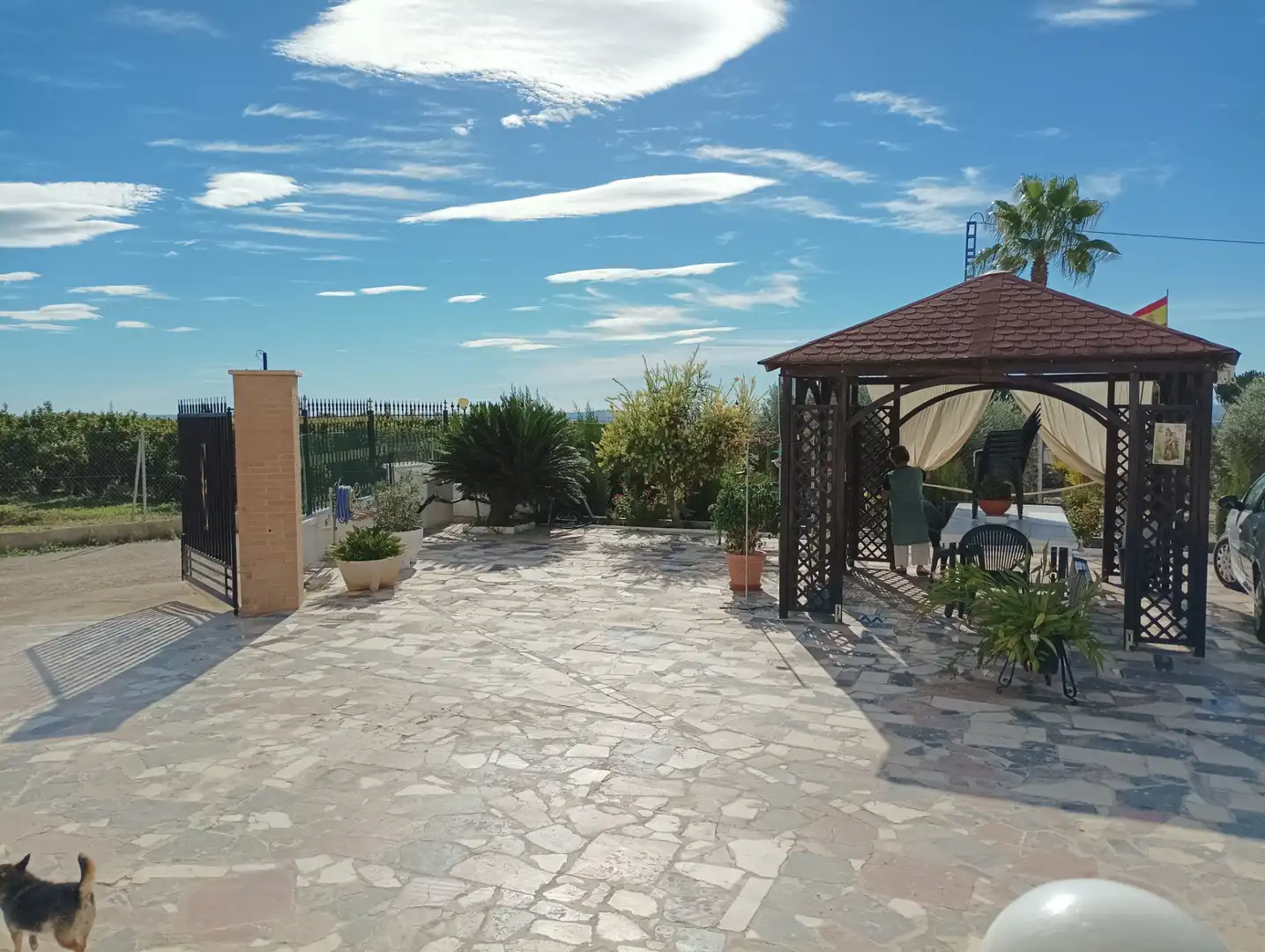 Maison rustique avec piscine à vendre à Albatera, imagen 8