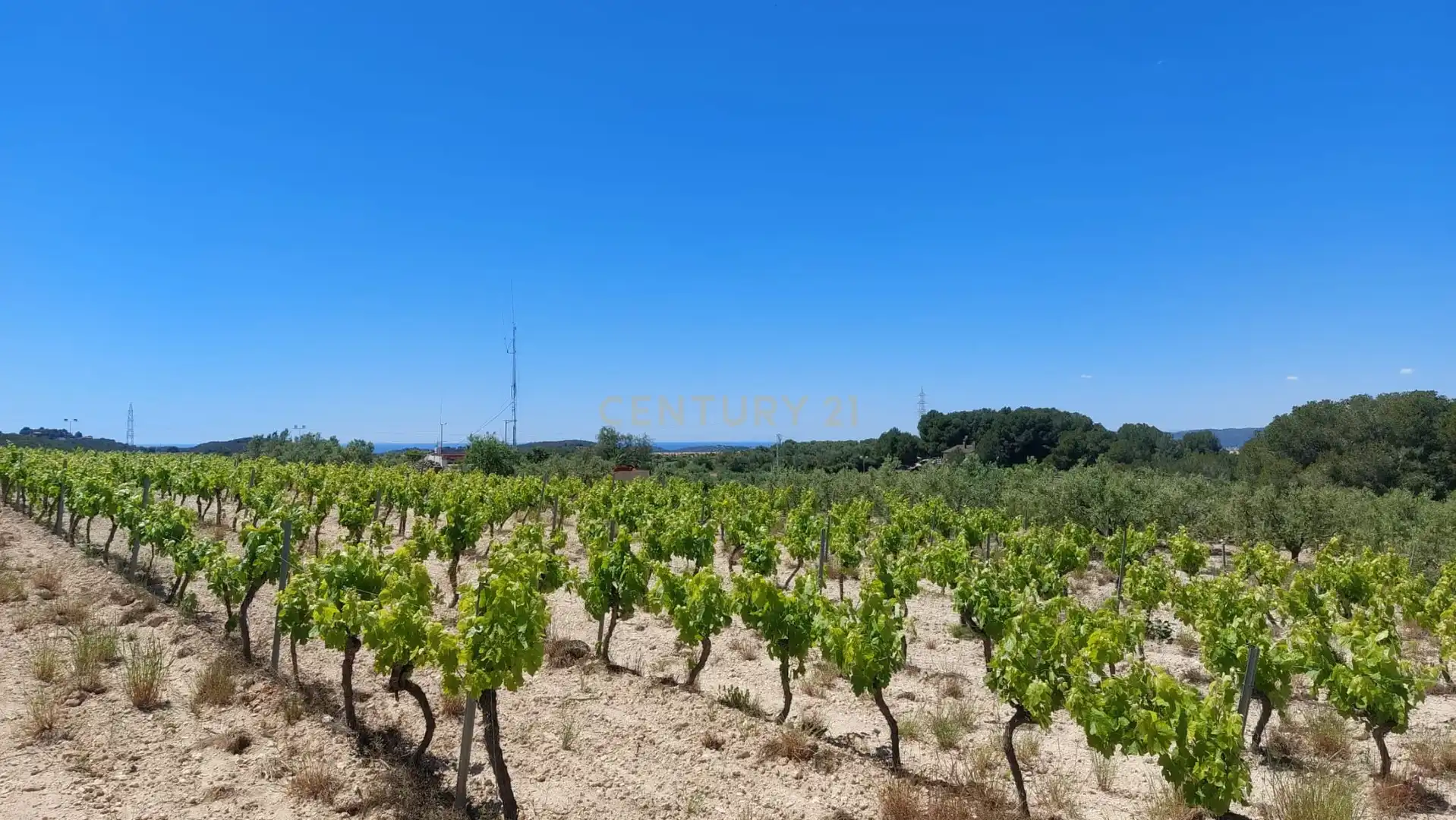 Casa o chalet en venta en Castellet i la Gornal