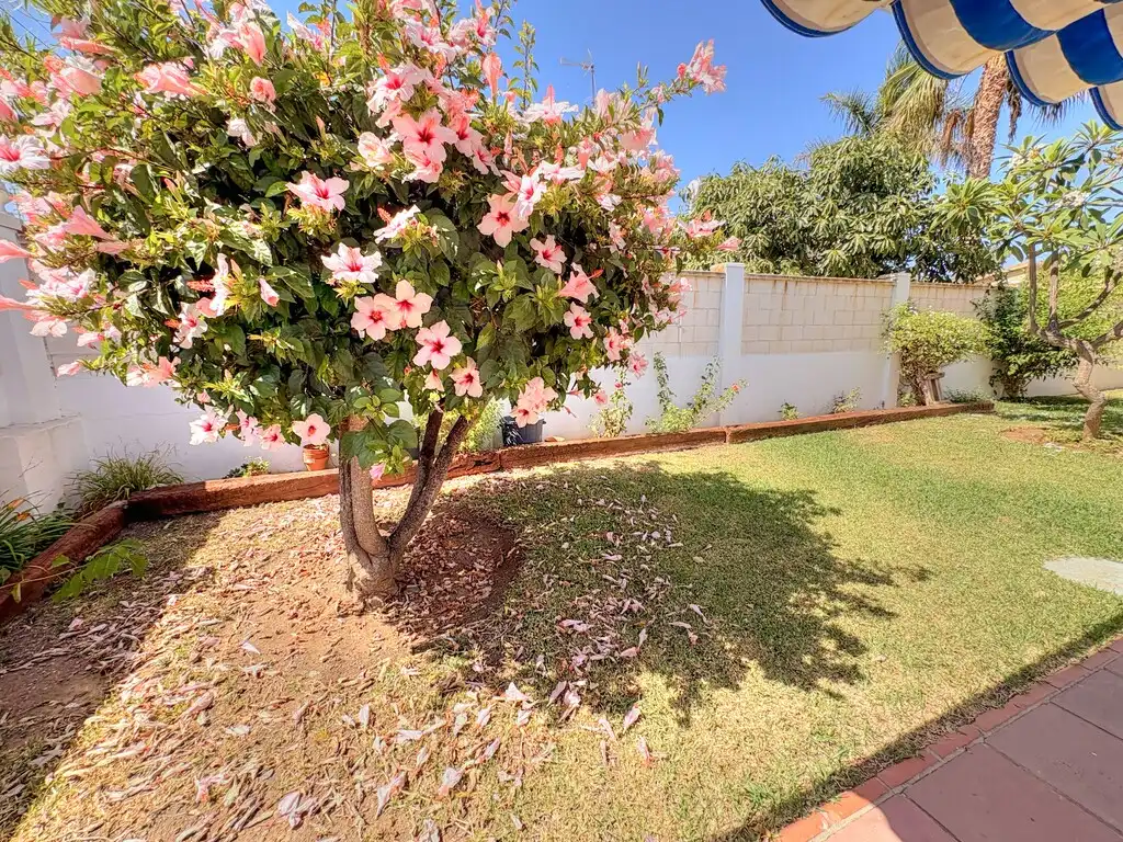 Villa mit Terrasse zum Verkauf in Chilches, imagen 2