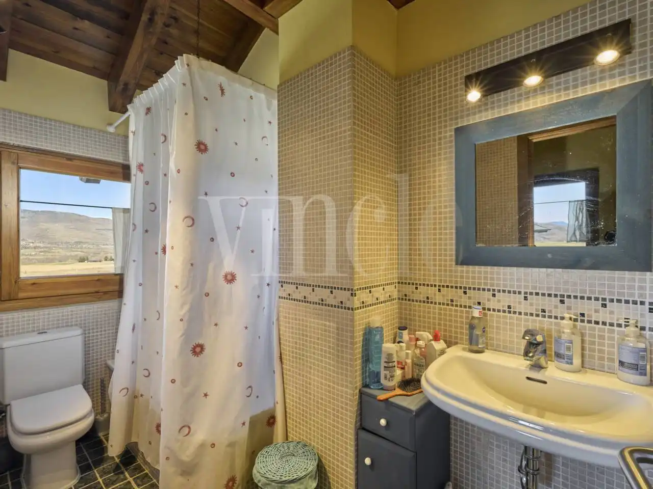 House with garden for sale in Urbanizacion EL PLA, imagen 36