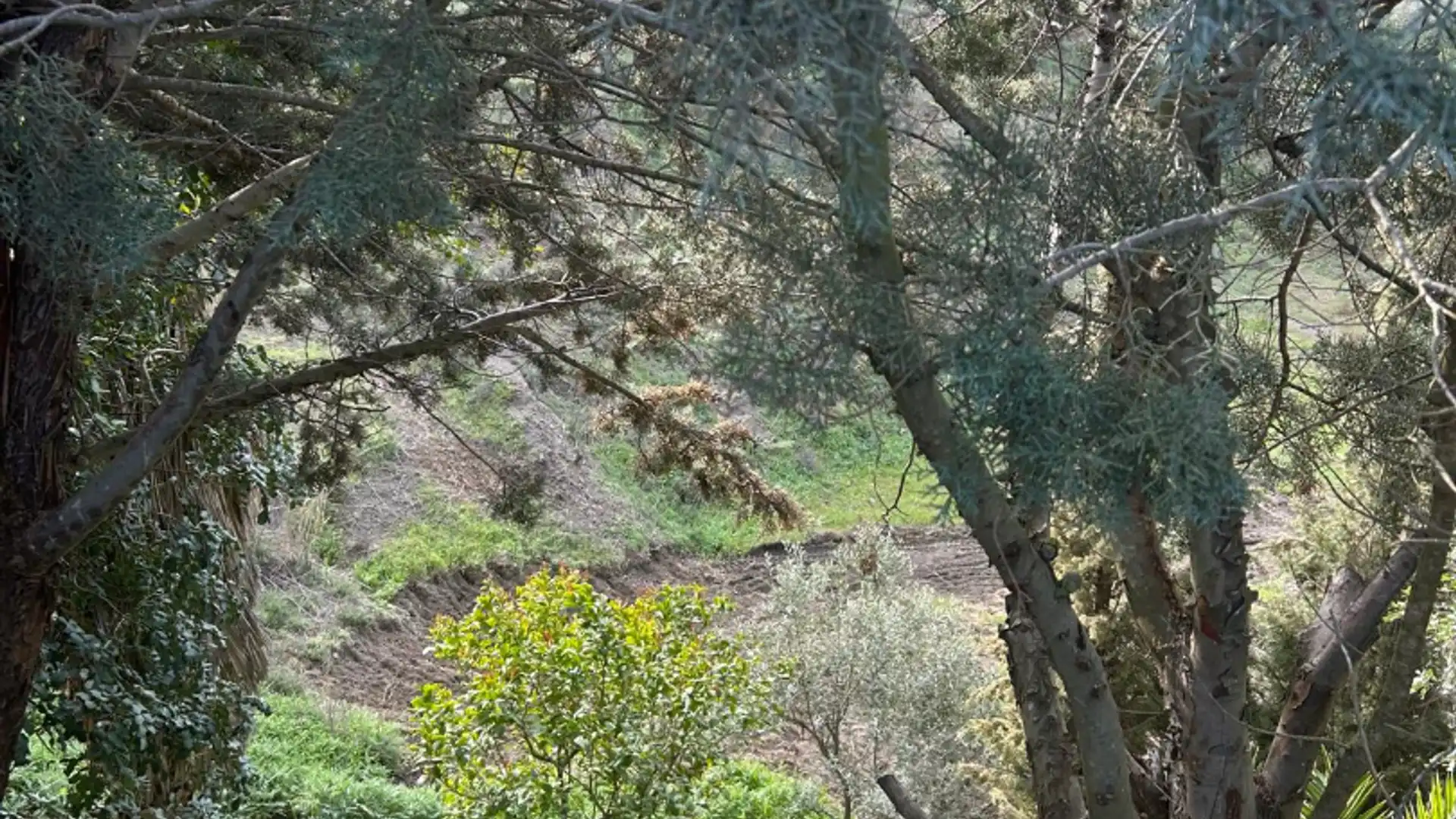 Jardí de Finca rústica en venda en Álora amb Piscina