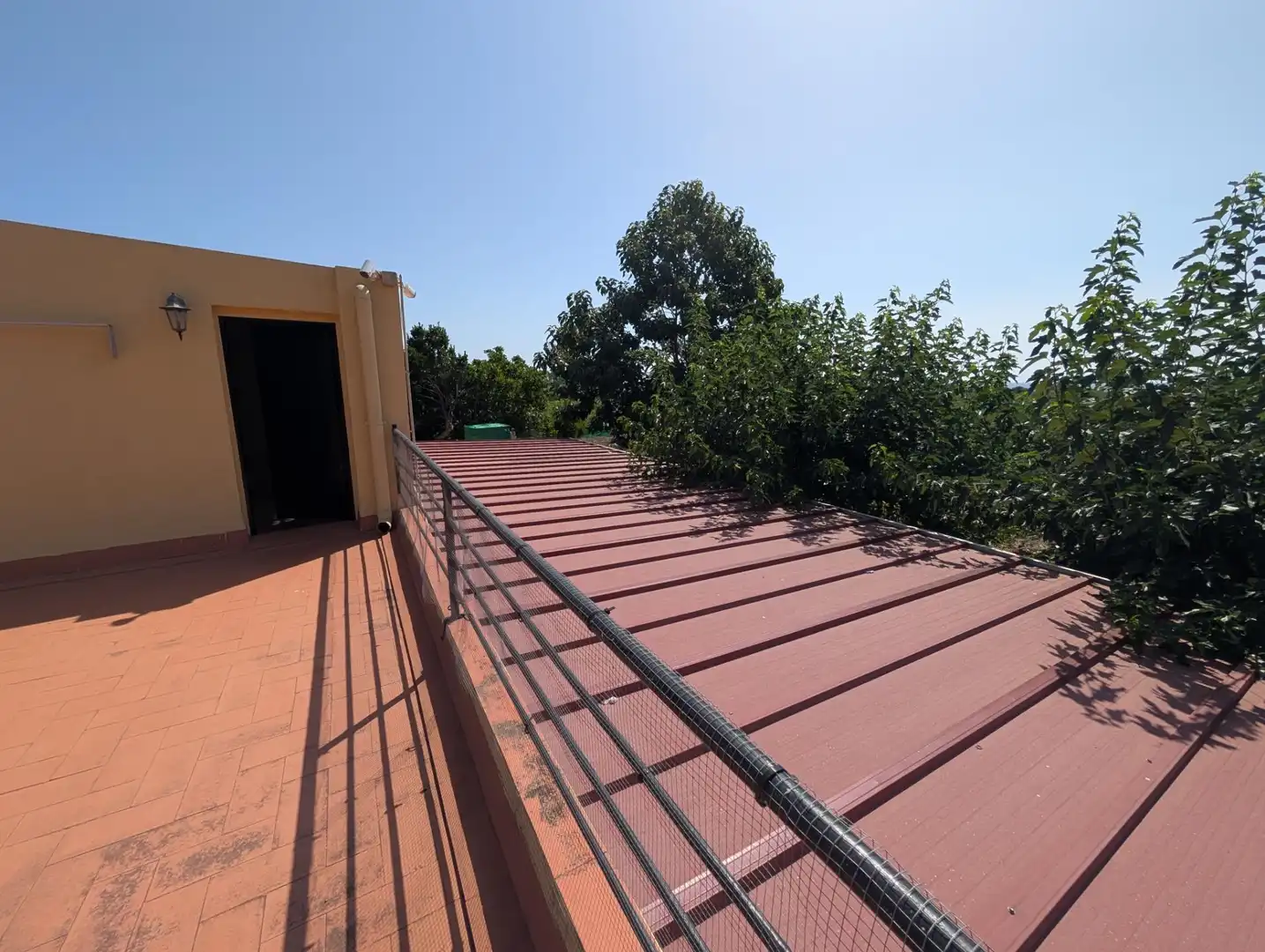 Vista exterior de Finca rústica en venta en Alcanar