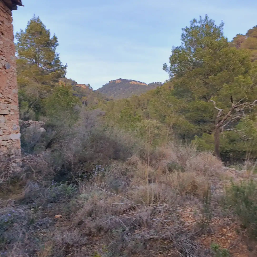 Rustikales Grundstück zum Verkauf in El Pinell de Brai, imagen 20