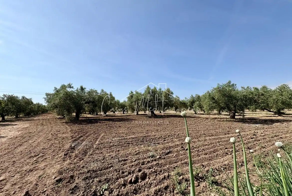 Finca rústica en venda en Mont-roig del Camp amb Aire condicionat, Calefacció i Jardí privat