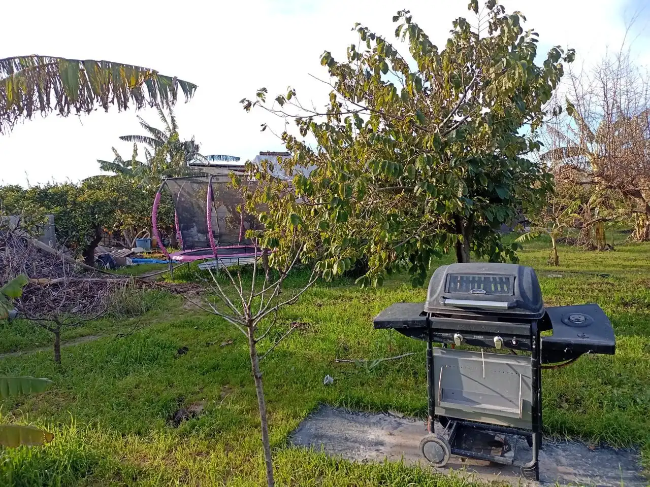 Country homes for sale in Sueca