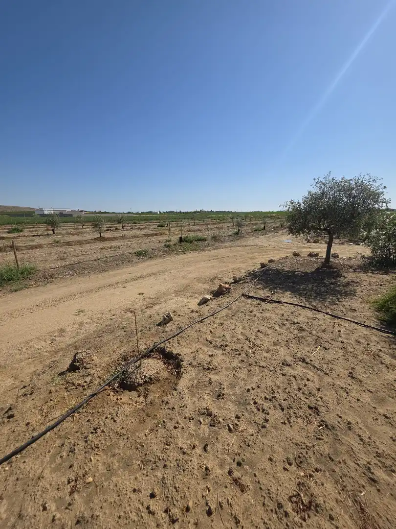 Xalet amb jardí en venda a Villanueva de la Serena, imagen 22