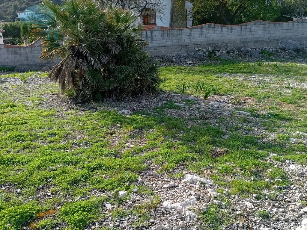 Rural land for sale in Partida racons, imagen 15