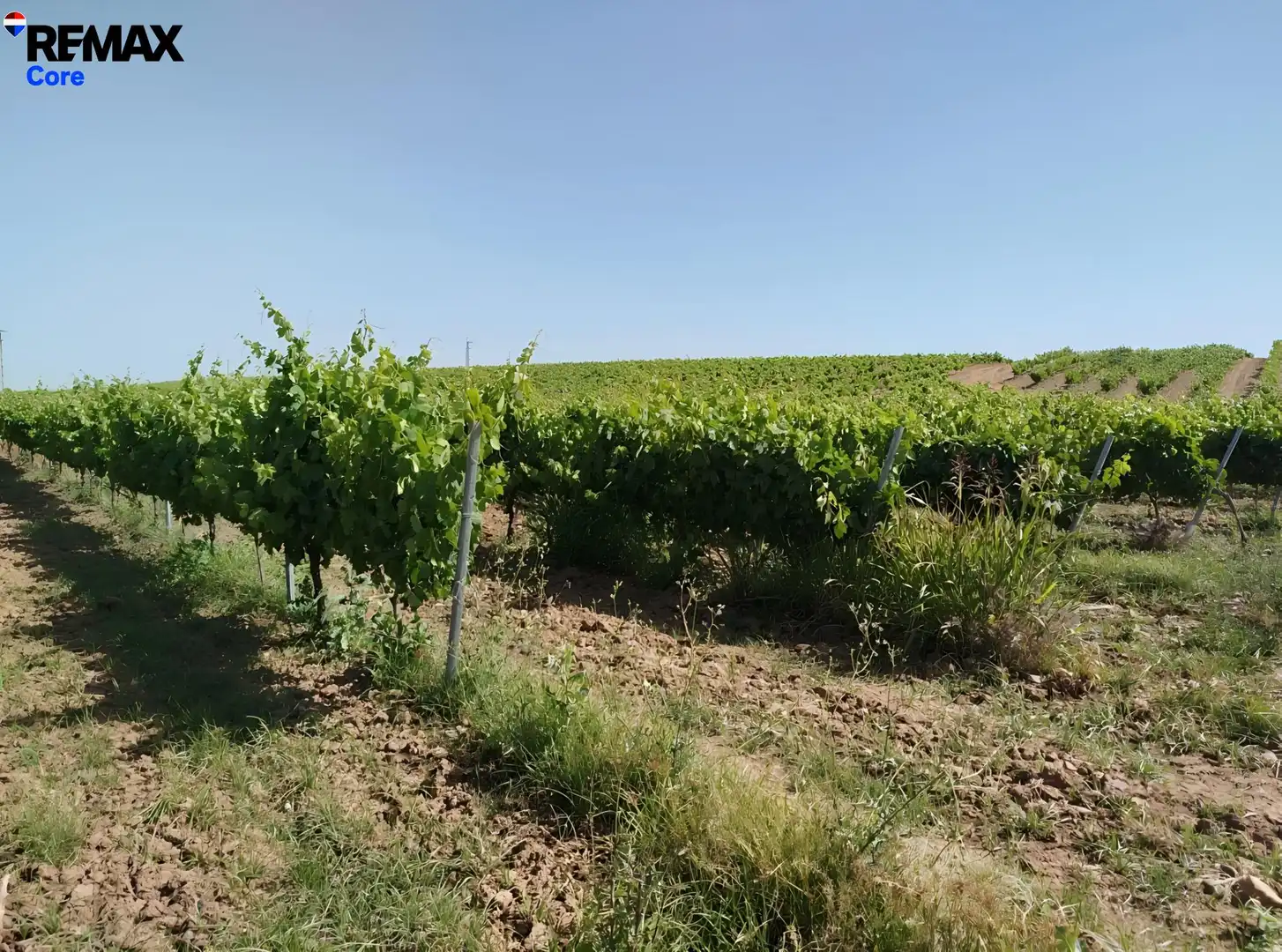 Terreni e lotti in vendita a Carretera de Sevilla - Los Montitos, imagen 7