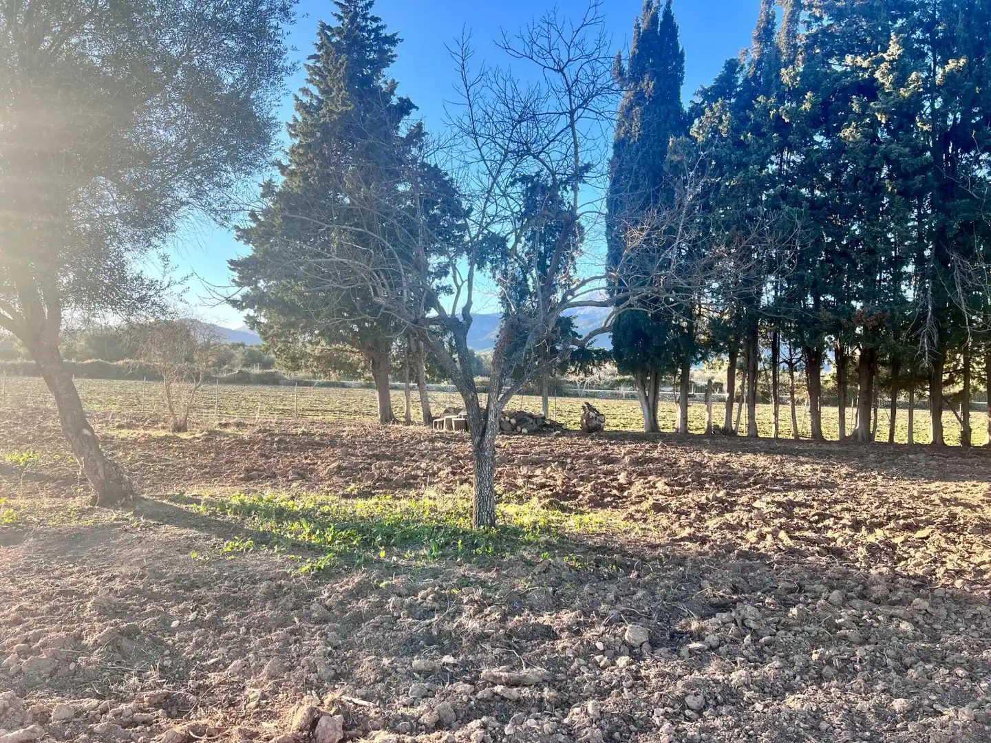 Casa rústica en venta en Campanet, imagen 3