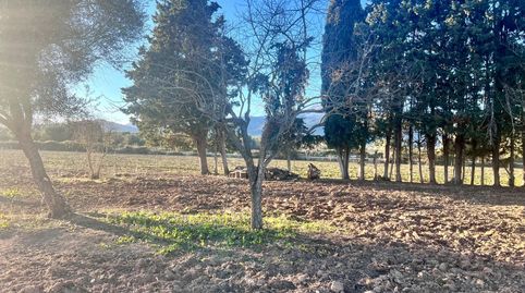 Foto 3 de Finca rústica en venta en Campanet, Illes Balears