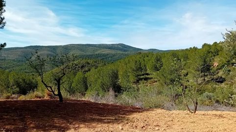 Foto 4 de Casa o xalet en venda a Buñol, Valencia