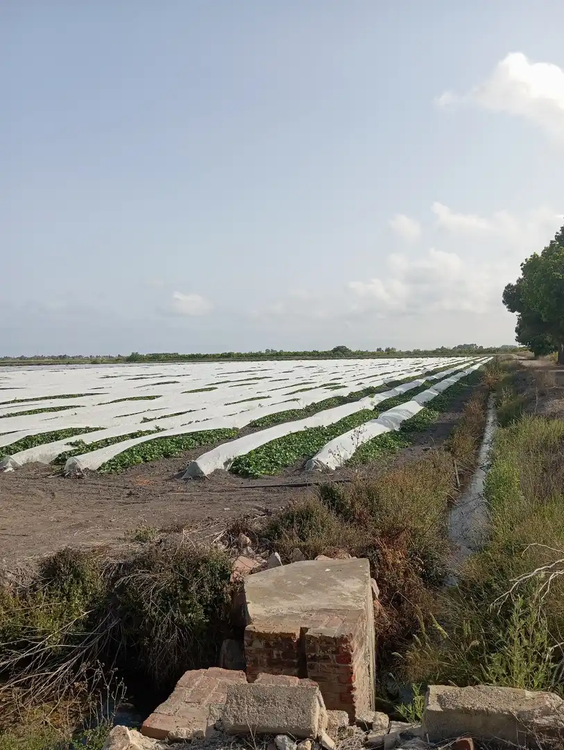 Rural land for sale in N/A, imagen 15