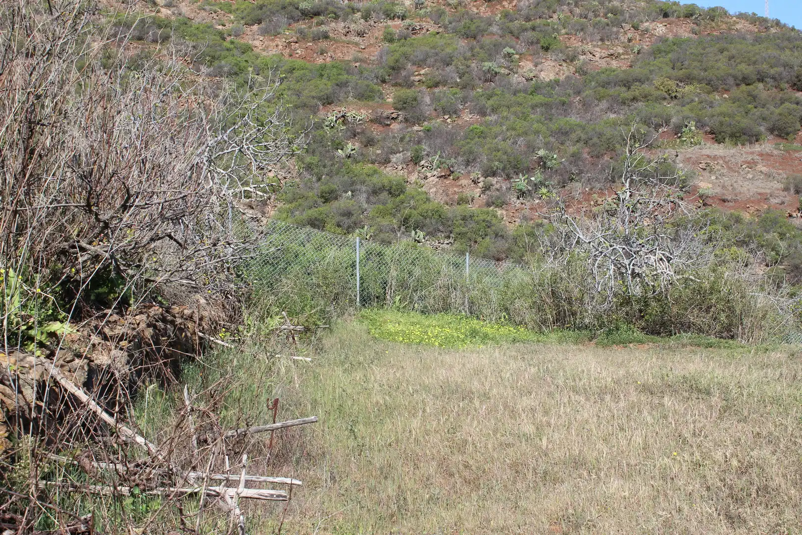 Rustikales Grundstück zum Verkauf in Machado - Las Barreras, imagen 20