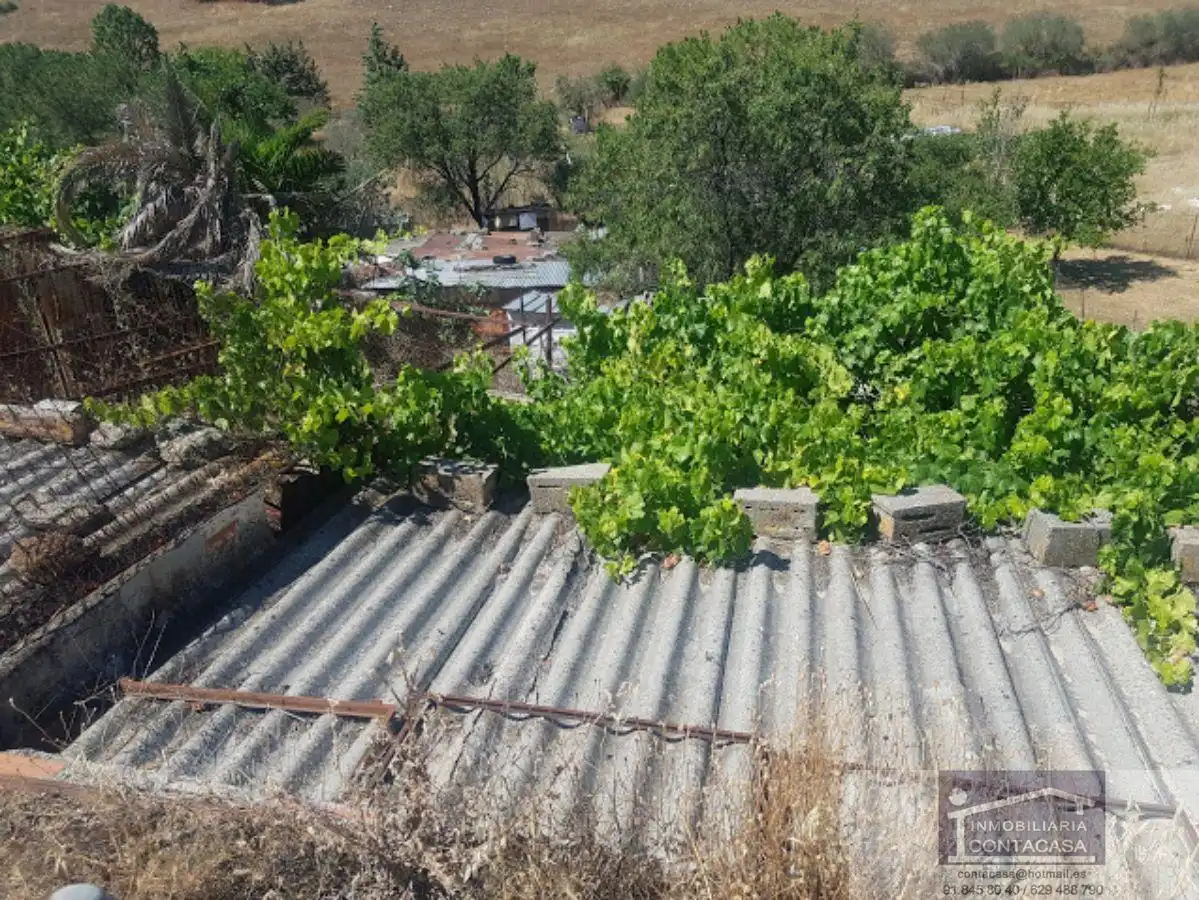 Vista exterior de Finca rústica en venta en Los Rábanos  