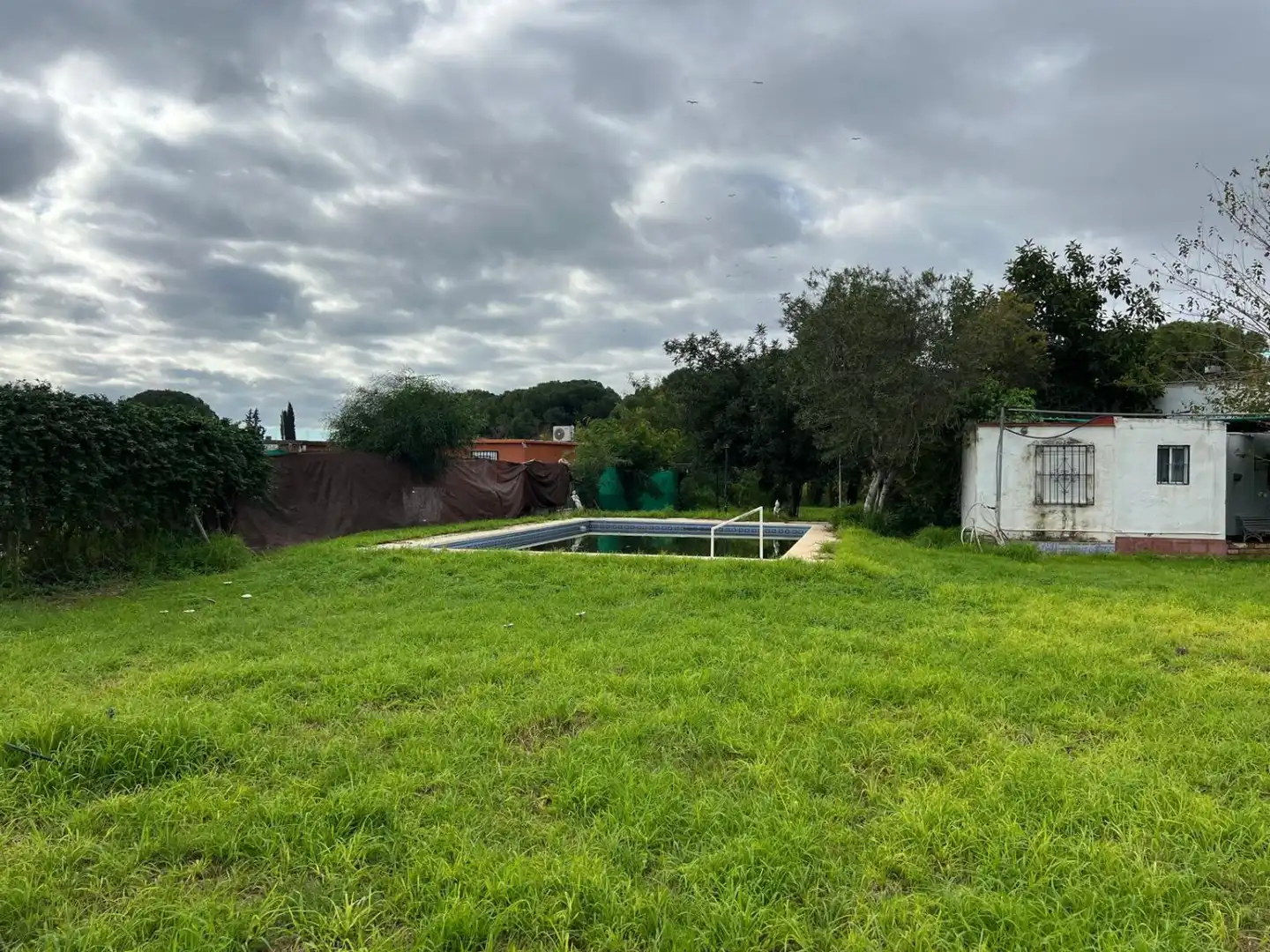 Piscina de Casa o chalet en venta en Los Palacios y Villafranca con Piscina