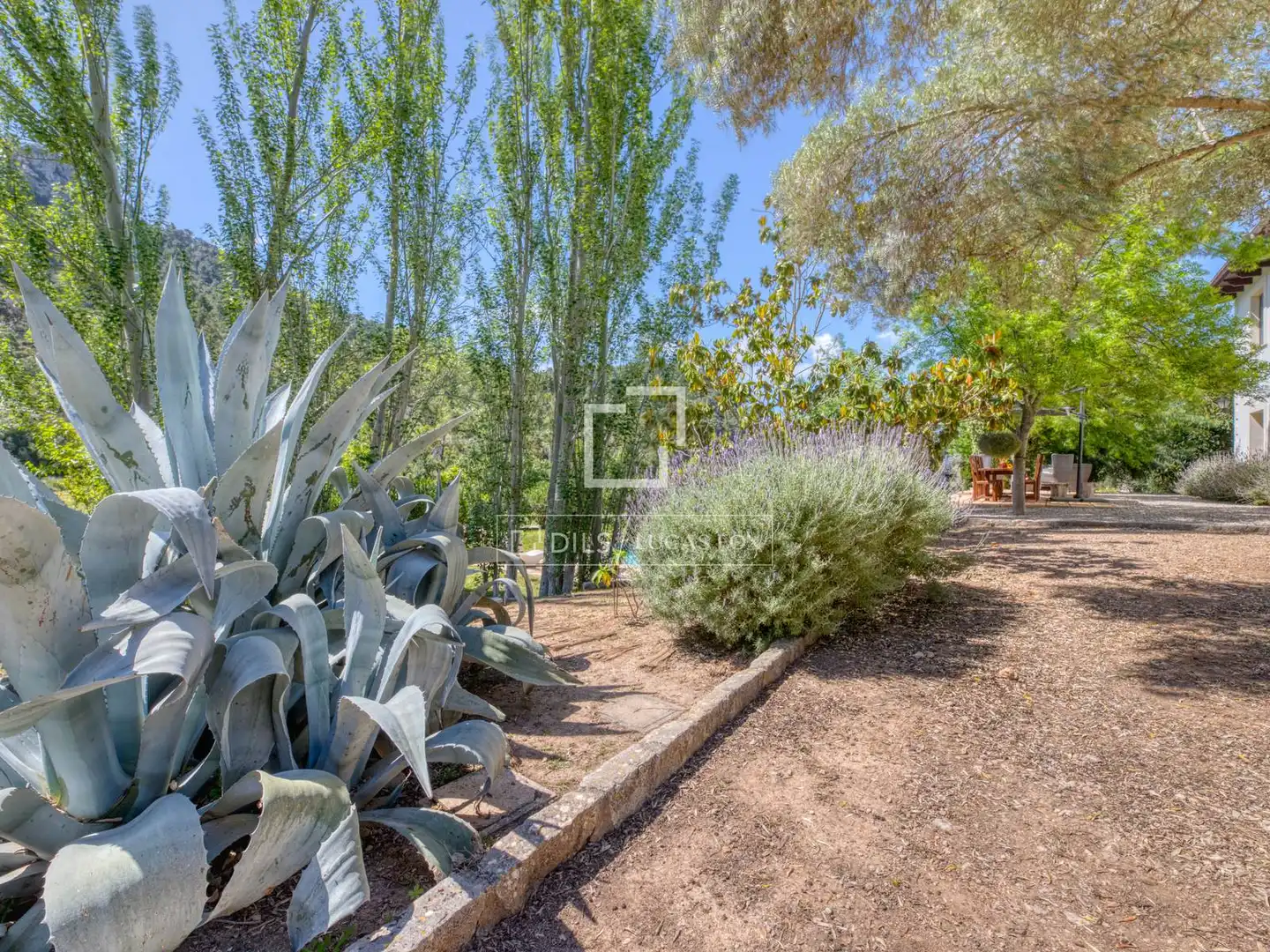 Casa rústica con piscina en venta en Esporles, imagen 29