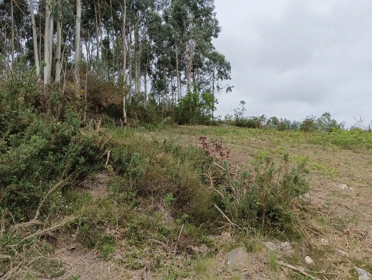 Terrenos y solares en venta en Coirós, imagen 7