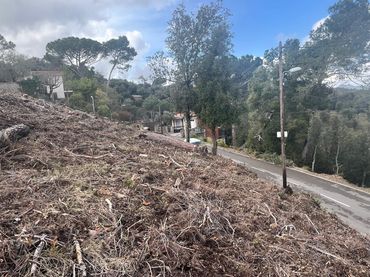 Terreni e lotti in vendita a El Racó - Sant Feliu del Racó