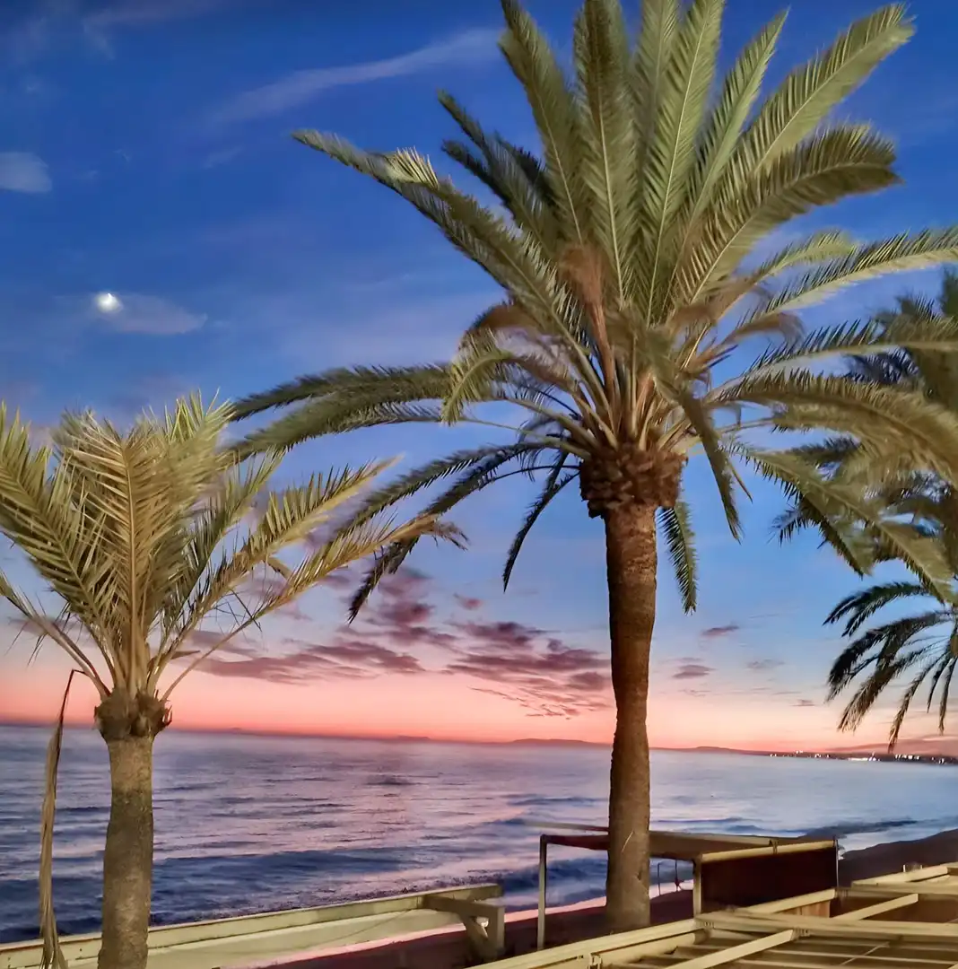 Vista exterior de Local de alquiler en Marbella con Aire acondicionado y Calefacción