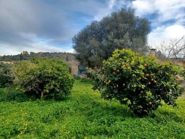Terrenys i solars en venda a Felanitx Poble, imagen 7