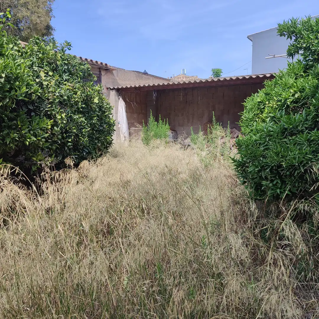 Terreny residencial en venda a Carrer de Bonany 8, imagen 5