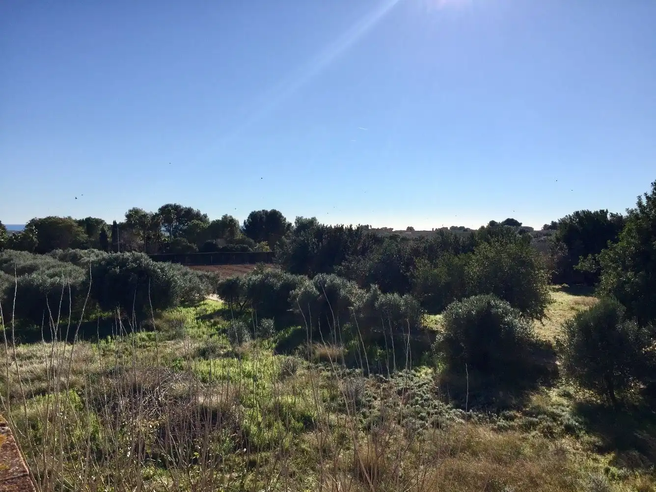 Maison rustique avec jardin à vendre à Riudoms, imagen 19