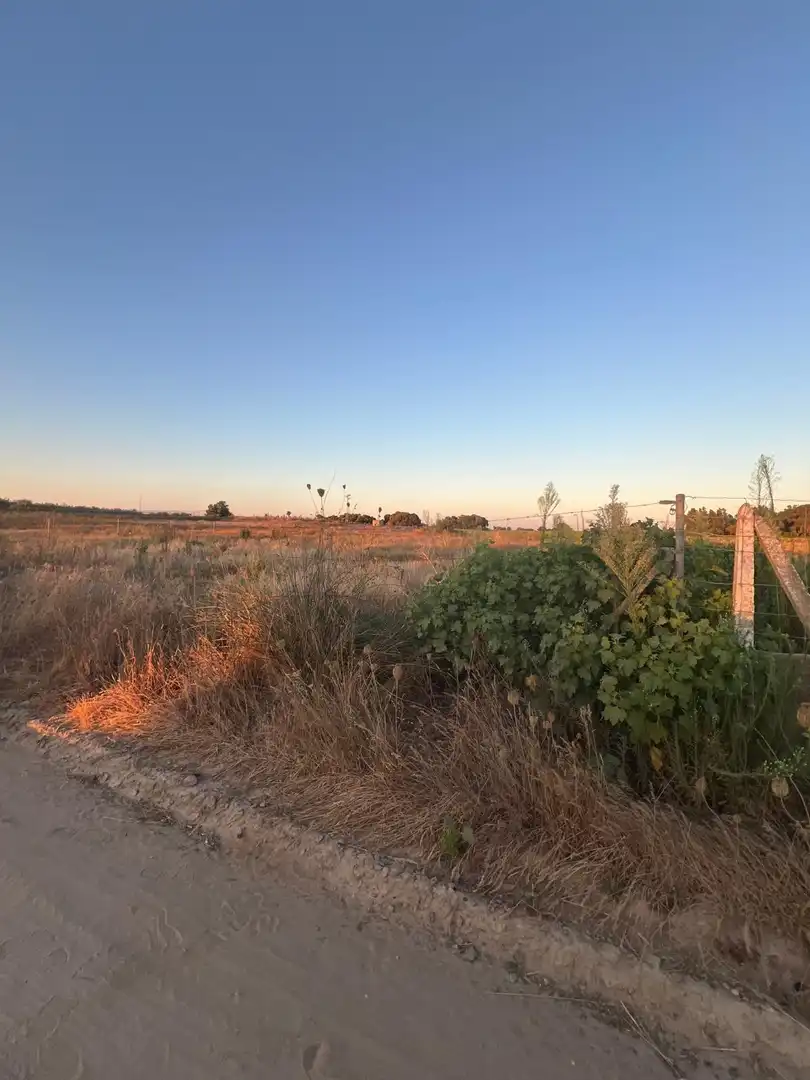 Terreny rústic en venda a Pedanías Norte, imagen 15