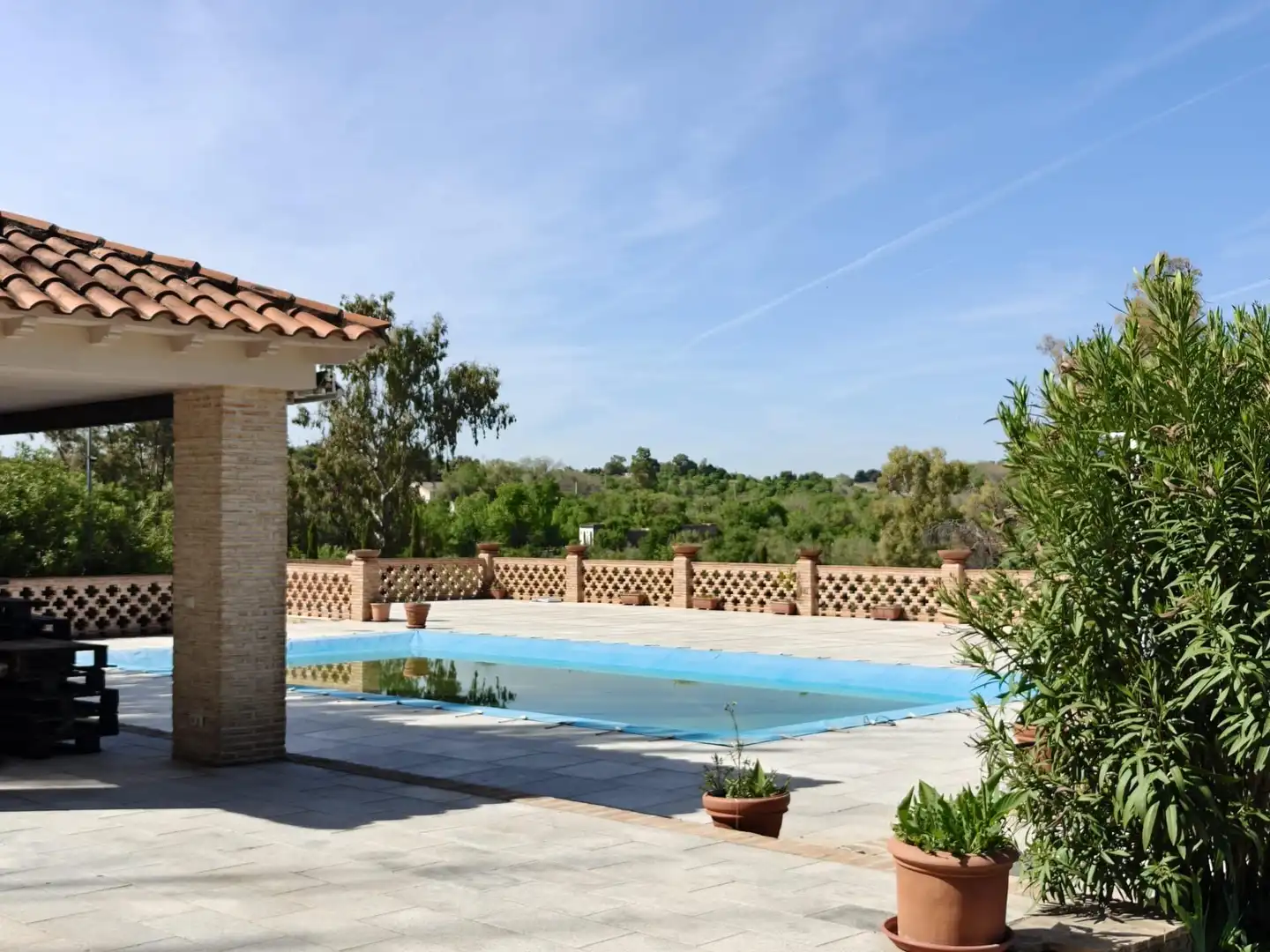 Chalet en venta en CERRO PALOS poligono 45 parcela 63, imagen 23