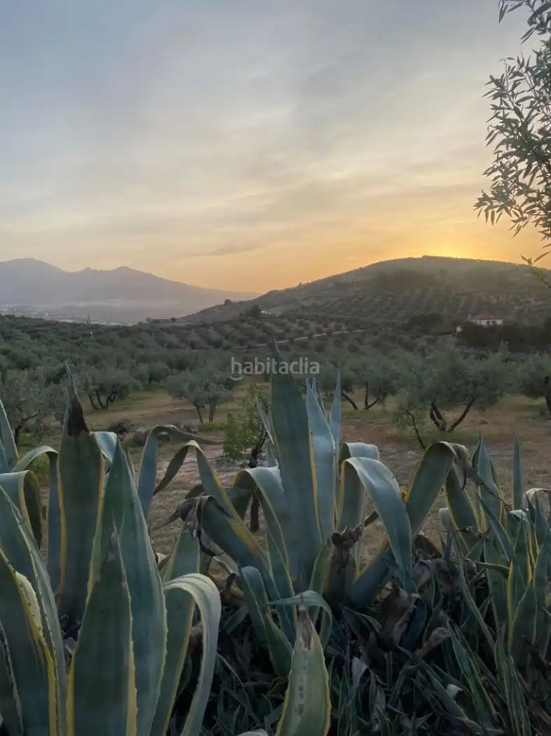 Xalet amb piscina en venda a Puente Tablas 6, imagen 3
