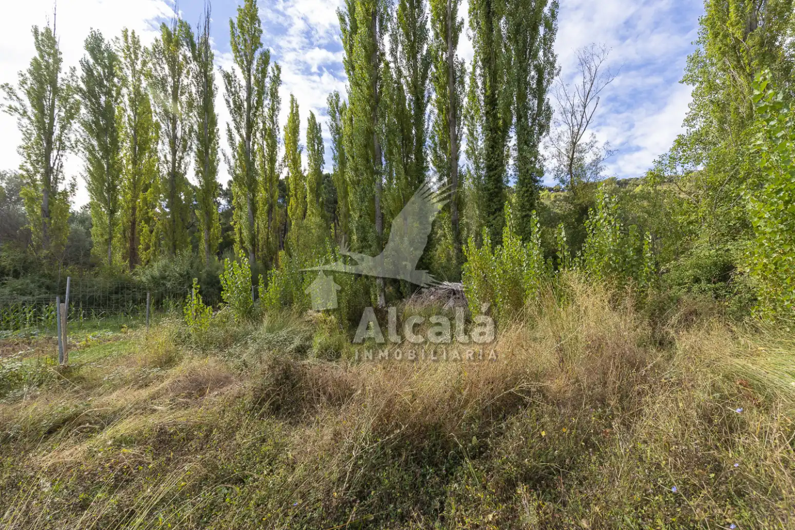 Terreno en venta en Hueva