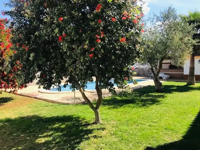 Jardí de Casa o xalet de lloguer en Chiclana de la Frontera amb Calefacció, Jardí privat i Terrassa