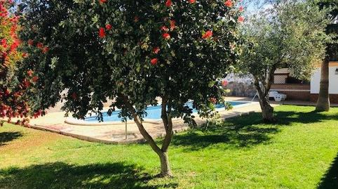 Foto 4 de Casa o xalet de lloguer a Las Lagunas - Campano, Cádiz