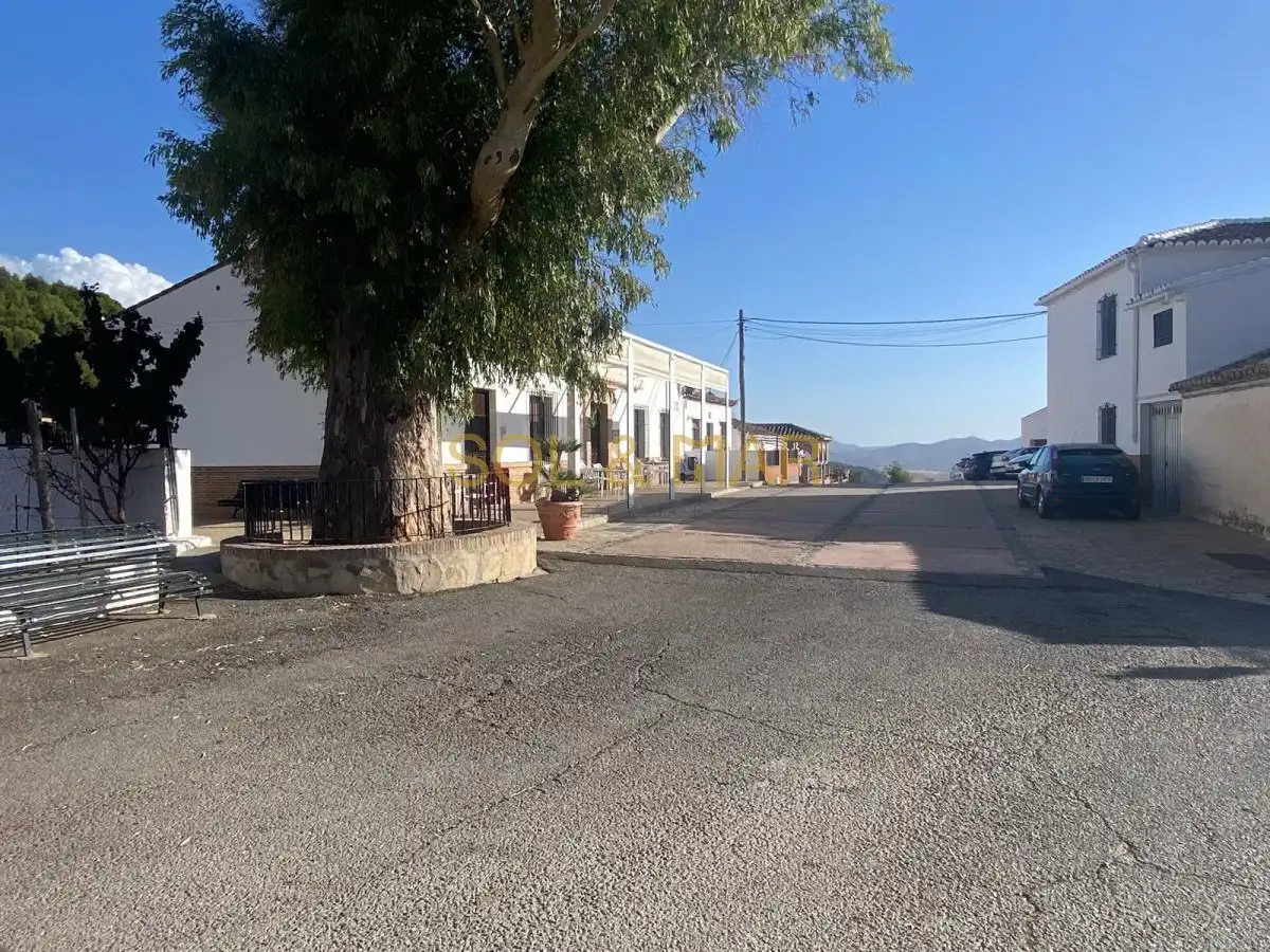 Vista exterior de Finca rústica en venda en Antequera