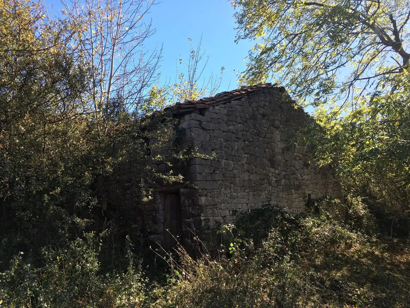 Terreno rustico in vendita a Cangas de Onís, imagen 3
