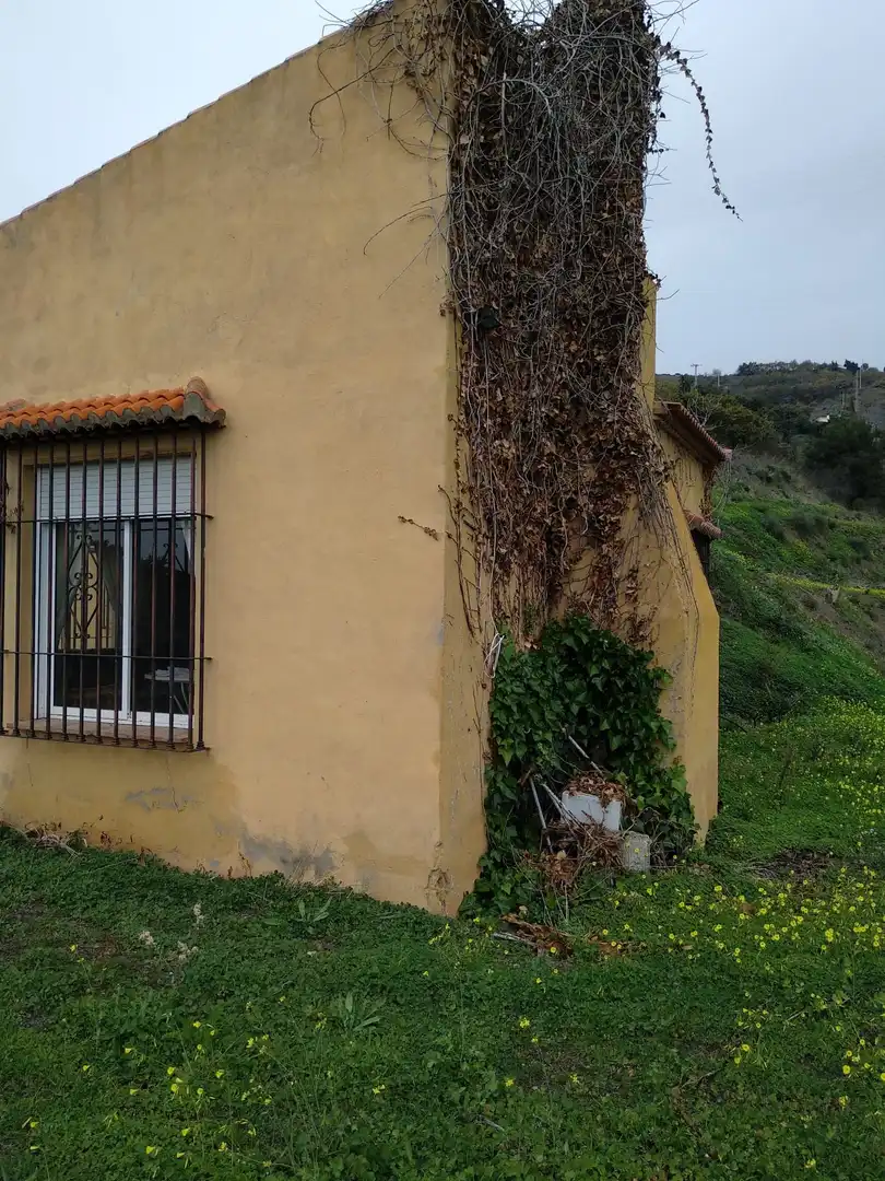 Casa rústica amb jardí en venda a Motril  ciudad, imagen 13