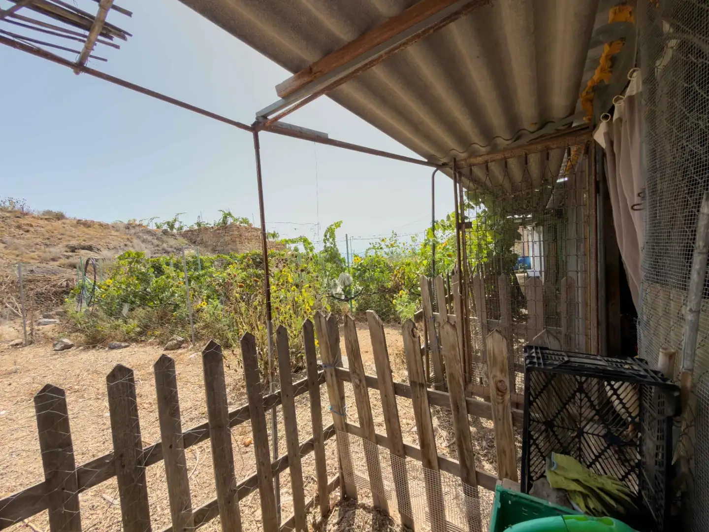 Jardí de Finca rústica en venda en Güímar