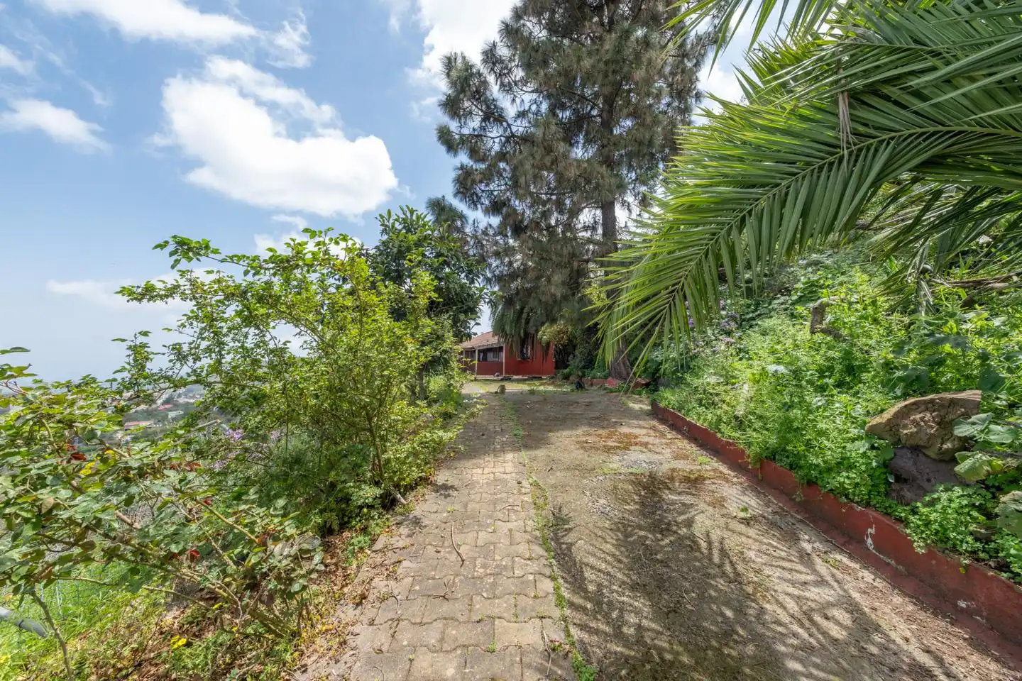Haus zum Verkauf in Vega de San Mateo, imagen 27