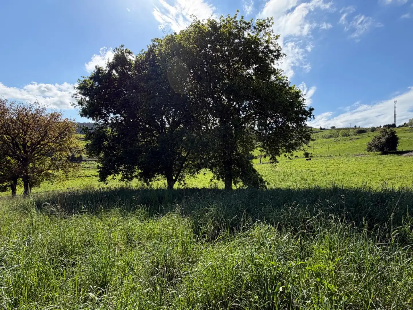 Wohnbaugrundstück zum Verkauf in Villanueva - Villanueva de Villaescusa, imagen 2