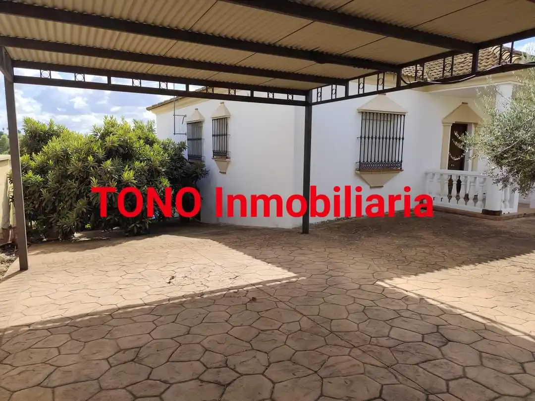 Vista exterior de Casa o xalet en venda en Écija amb Jardí privat, Terrassa i Piscina