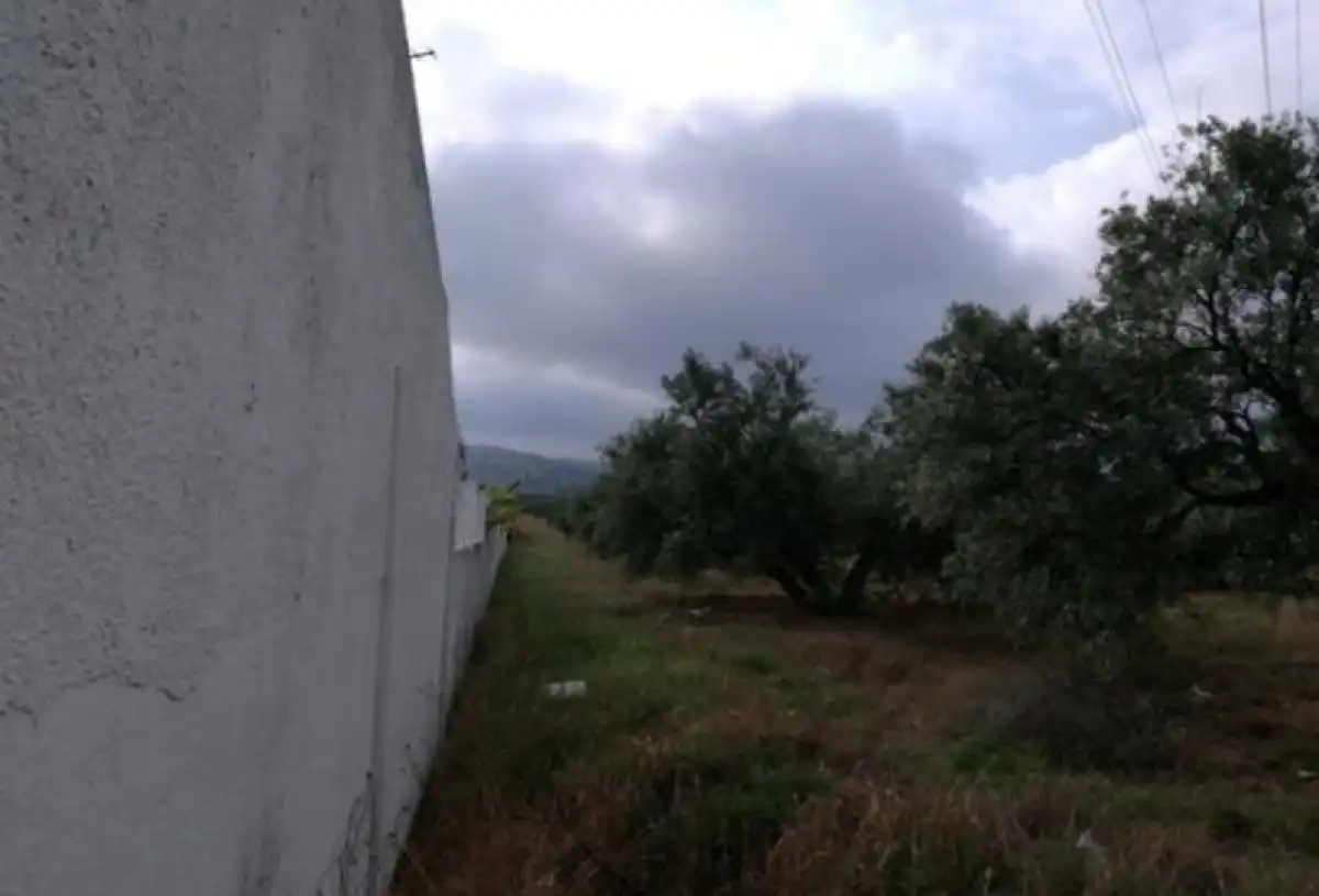 Terreni e lotti in vendita a Martos, imagen 8