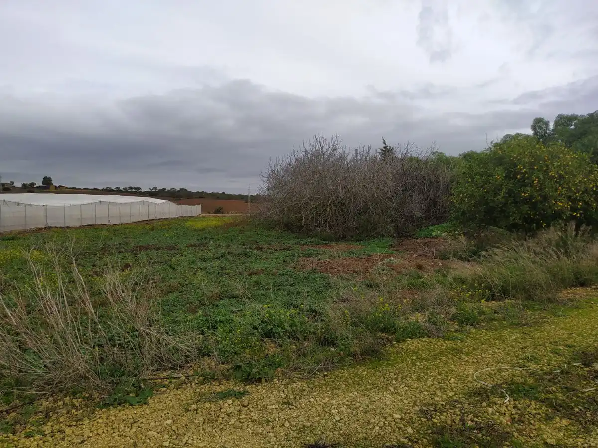Casa rústica en venda a Pelagatos - Pago del Humo, imagen 7