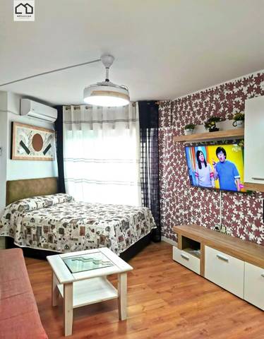 Apartamento en Alquiler en Zona Playa del Cura