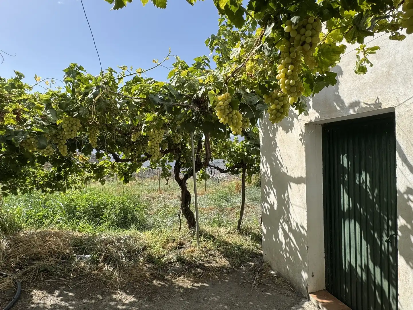 Terreny en venda en Ohanes