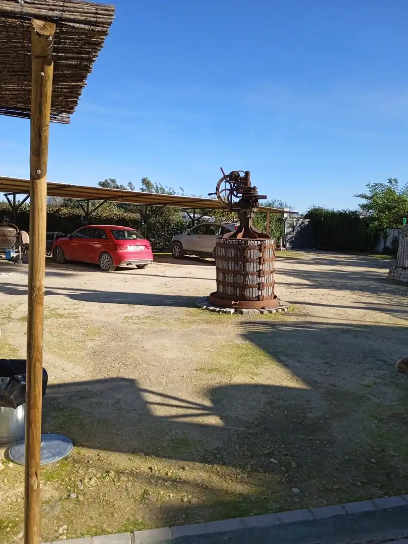 Terreni e lotti in vendita a Arcos de la Frontera, imagen 19