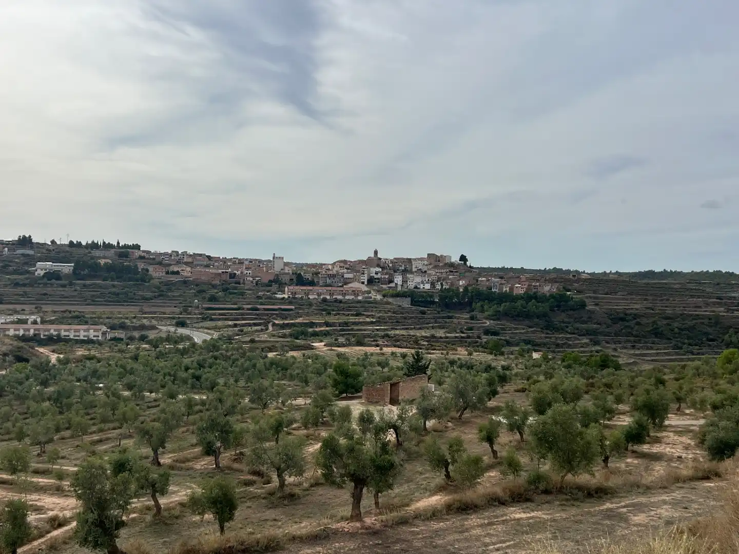 Exterior view of Houses for rent in L'Albagés, Lleida