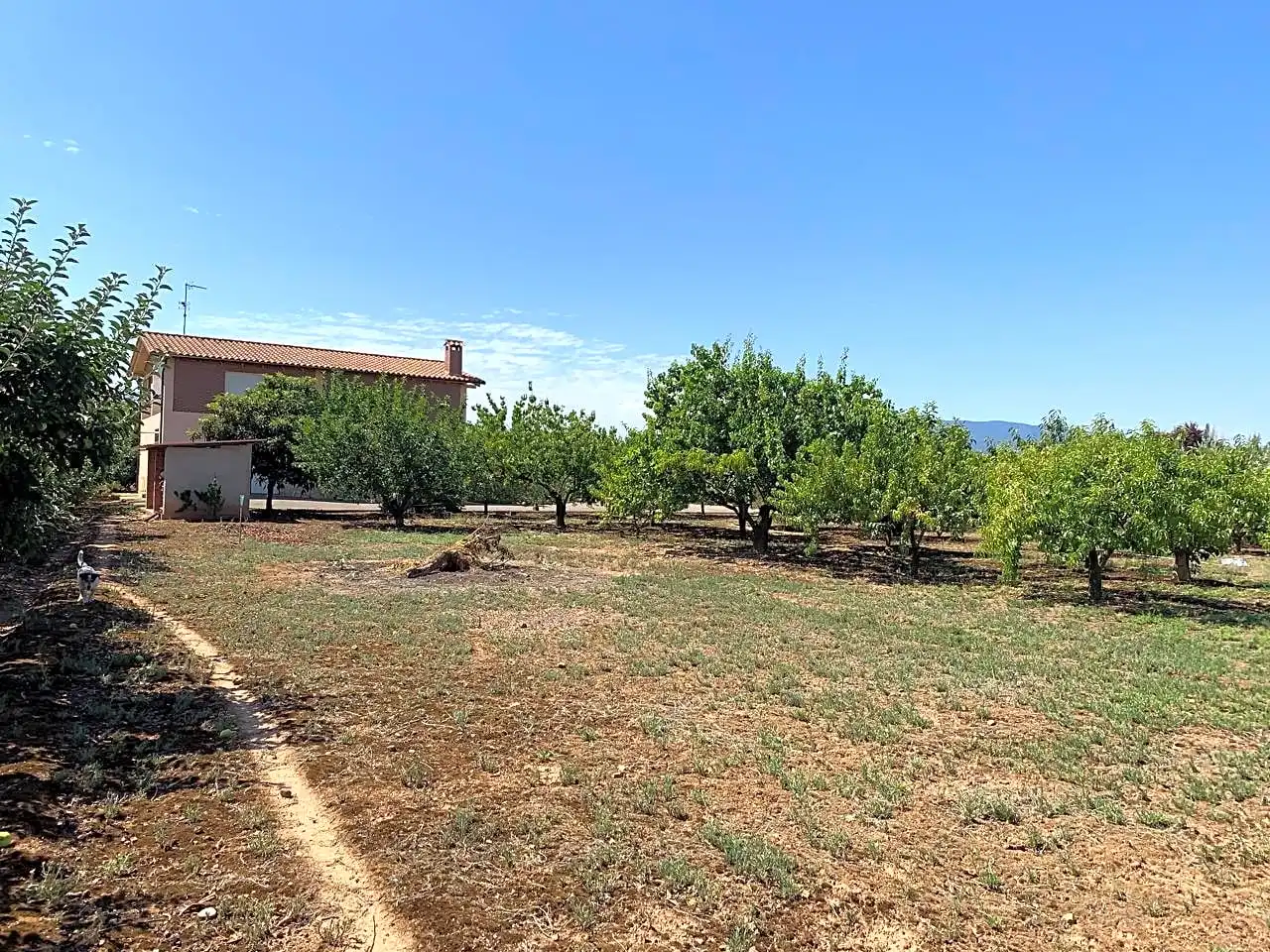 Casa o xalet en venda en  Logroño amb Calefacció, Parquet i Terrassa