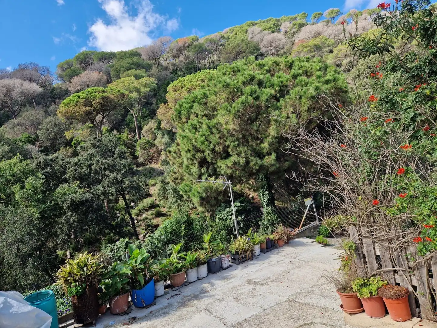 Lands and plots for sale in Can Massuet del Far, imagen 4