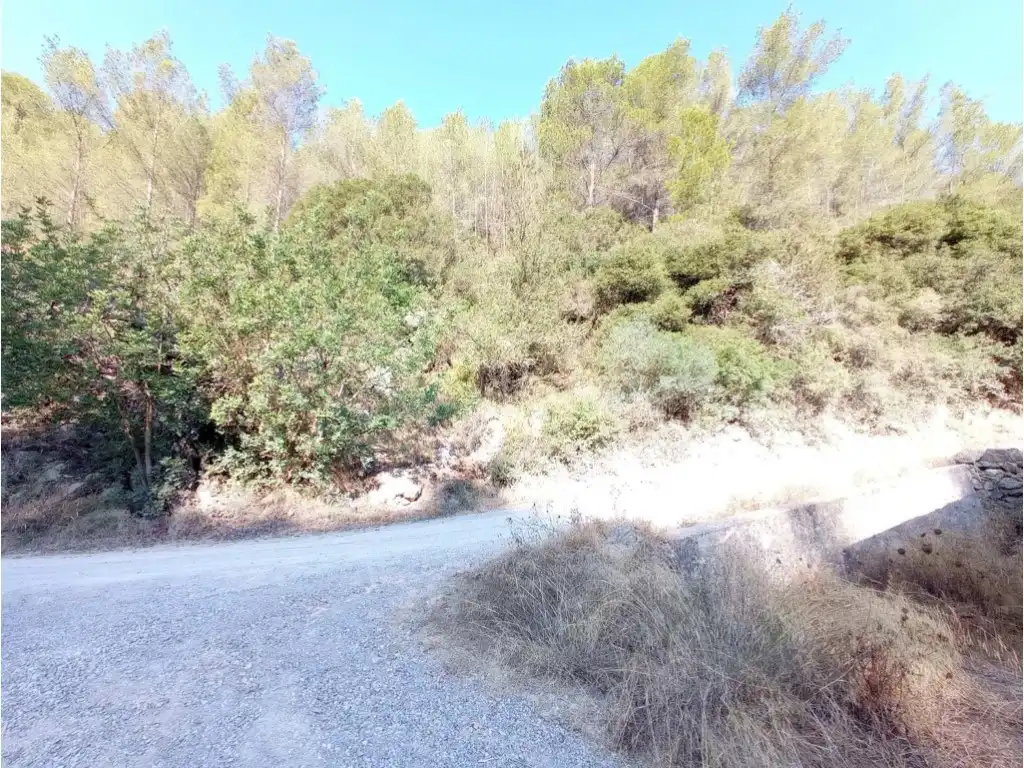 Terreny rústic en venda a Sant Antoni de Portmany