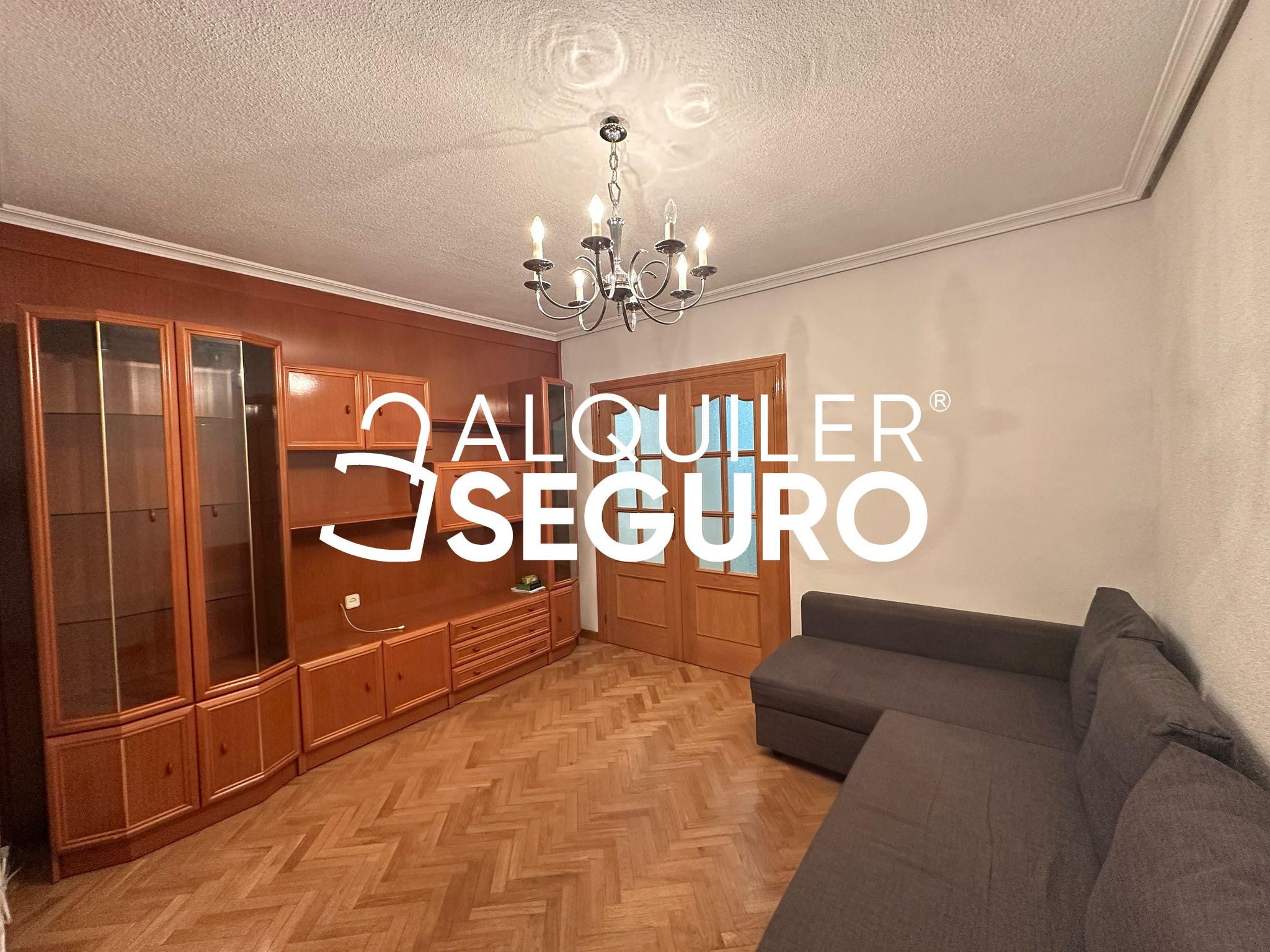Living room of Flat to rent in  Madrid Capital  with Heating and Furnished